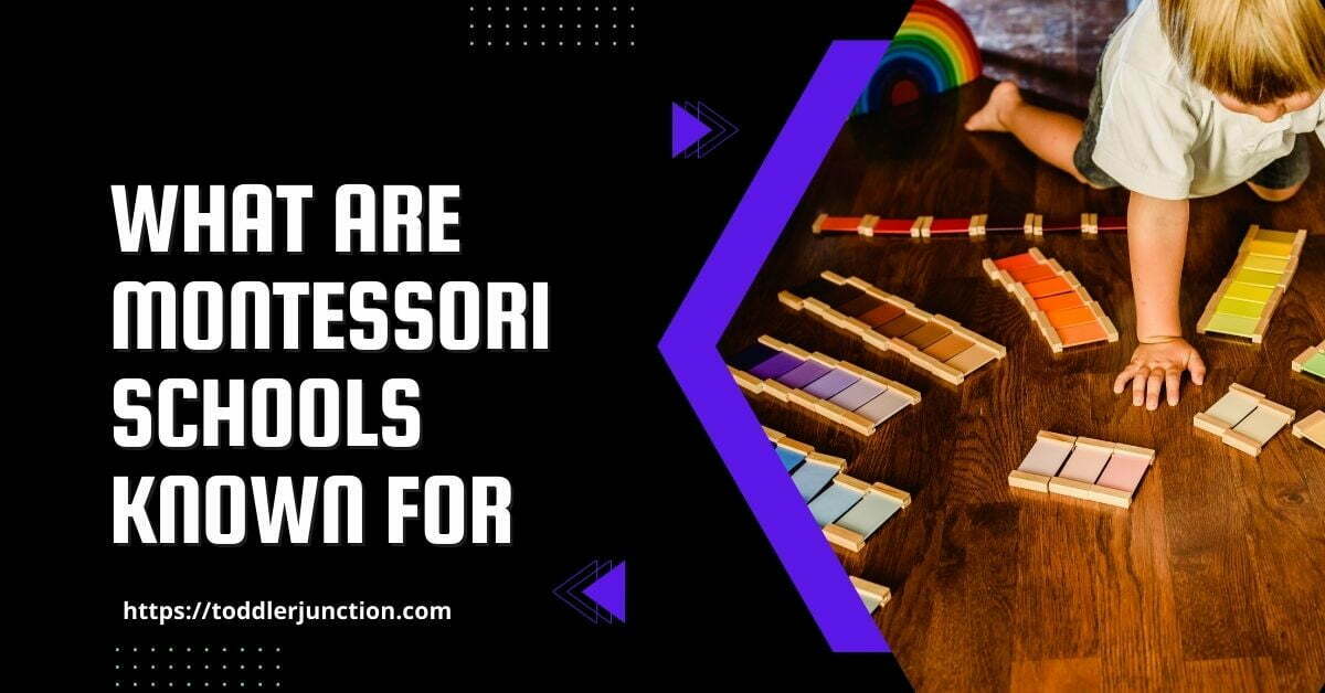 What are Montessori Schools known for